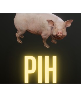 Pih Steam Key GLOBAL